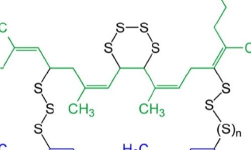 فرآیند پخت الاستومرها
